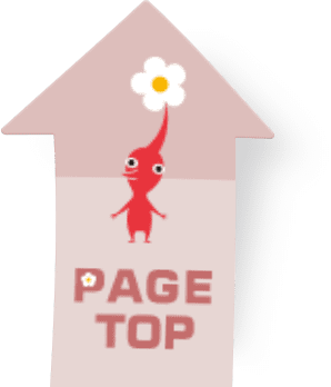 PAGE TOP