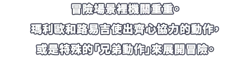 フィールドにはしかけがいっぱい。マリオとルイージの協力アクションや特別な「ブラザーアクション」を使って冒険。