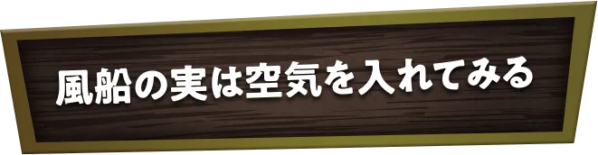 風船の実は空気を入れてみる